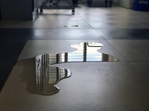 Best Water damage restoration process  in Whiteville, TN