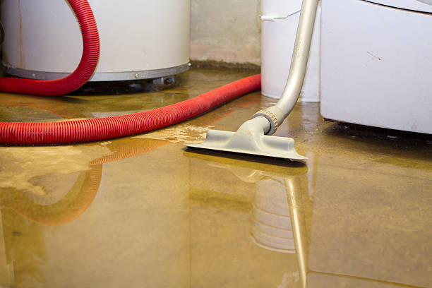 Best 24/7 water damage repair  in Whiteville, TN