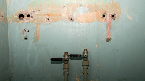 Best Sewage cleanup and water damage restoration  in Whiteville, TN