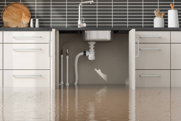 Best Sewage cleanup and water damage restoration  in Whiteville, TN