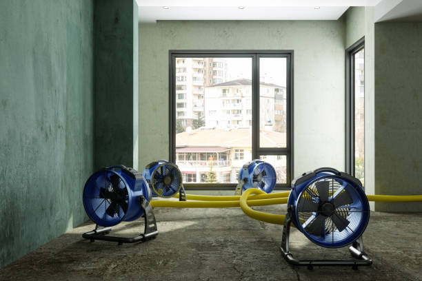 Best Commercial water damage restoration  in Whiteville, TN
